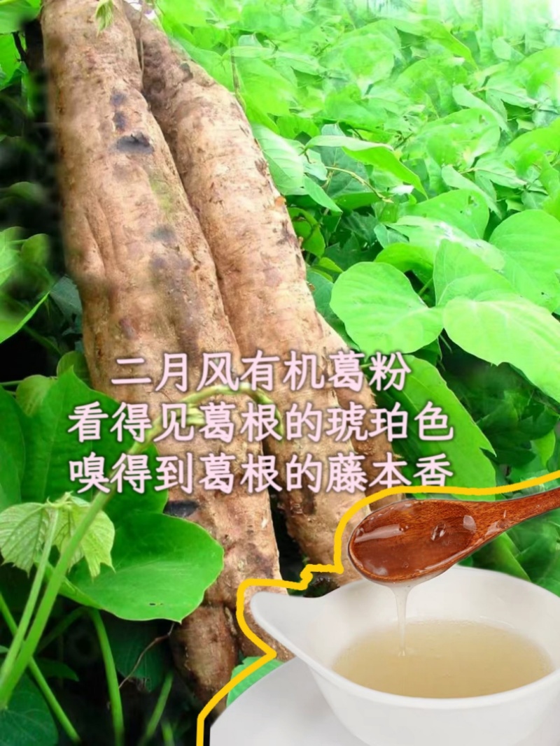 二月風有機葛粉，看得見葛根的琥珀色，嗅得到葛根的藤本香_800.jpg