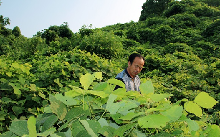 趙今月教授簡(jiǎn)介