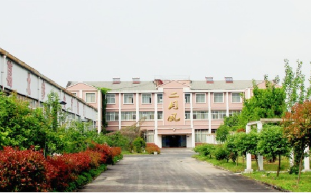 二月風野生葛根粉，當代年輕人的反焦慮新寵