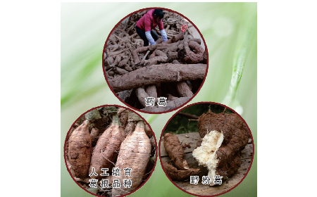 買葛粉是買野生的好？還是野生有機(jī)的好？