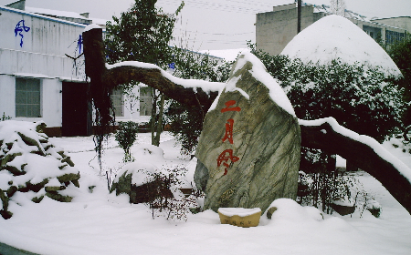 二月風(fēng)致老友：一碗葛根粉的牽掛，農(nóng)博會(huì)上的重逢之約二月風(fēng)盼老友：農(nóng)博會(huì)上，再續(xù)葛粉情緣